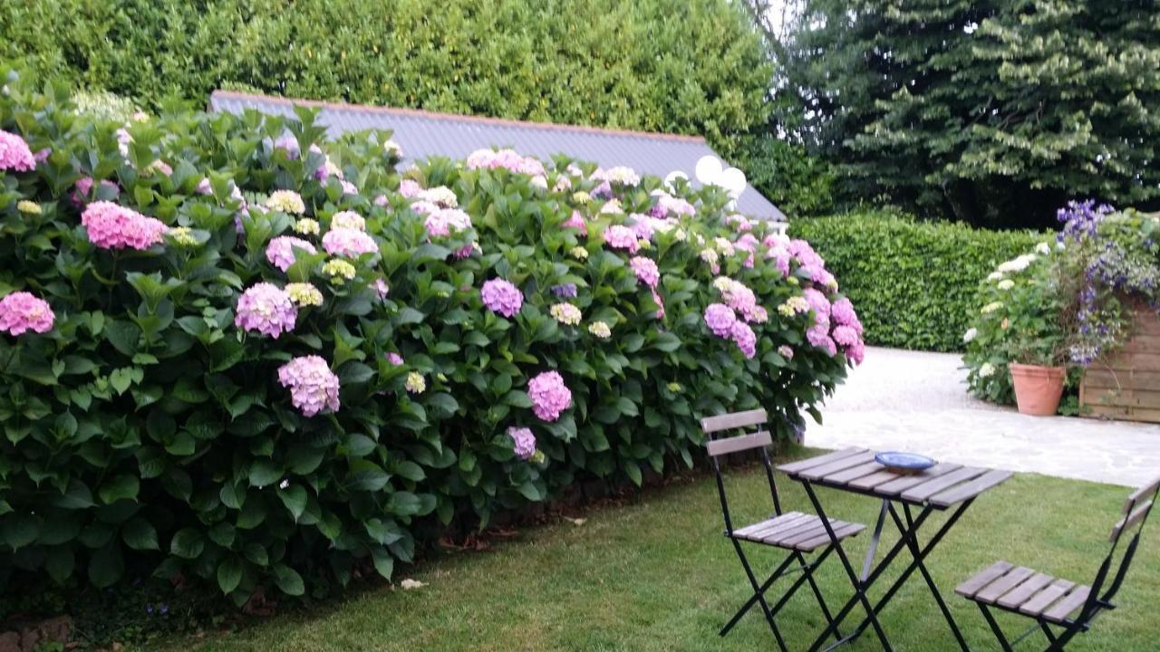Les Hortensias * Pont-Croix