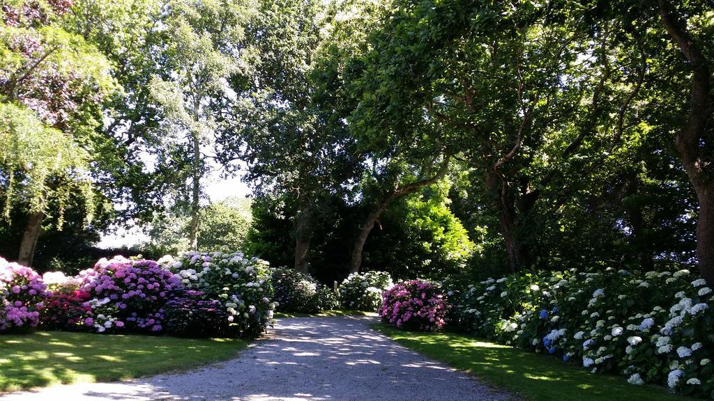 Les Hortensias *