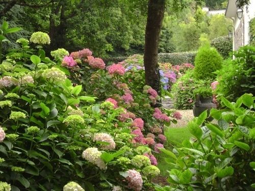 Les Hortensias Frühstückspension